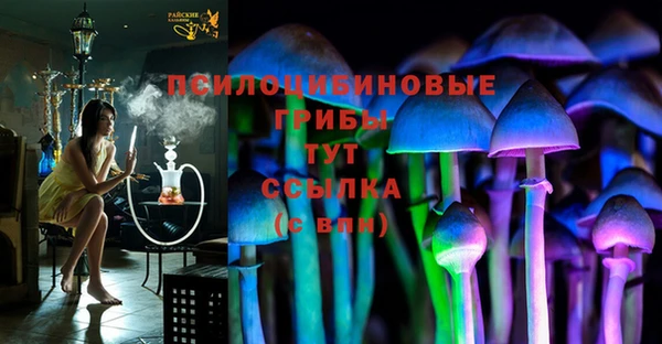соль курить ск Ладушкин