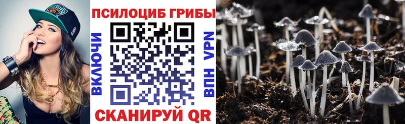 Псилоцибиновые грибы Magic Shrooms  Полесск 